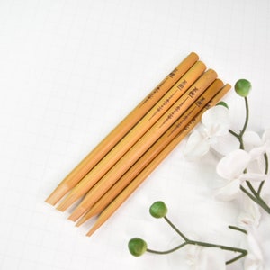 Arabo Farsi Persiano Urdu Ebraico Calligrafia Reed Bamboo Pen Qalam Set Kit per Principianti e Livello Professionale 5 Pezzi