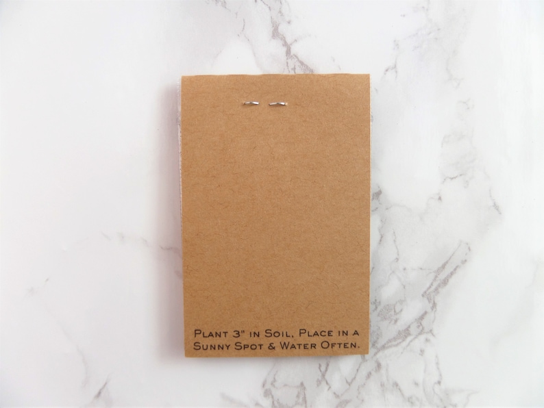 Religious Funeral Favors Forget Me Not Favors Funeral Favors Custom Seed Favor