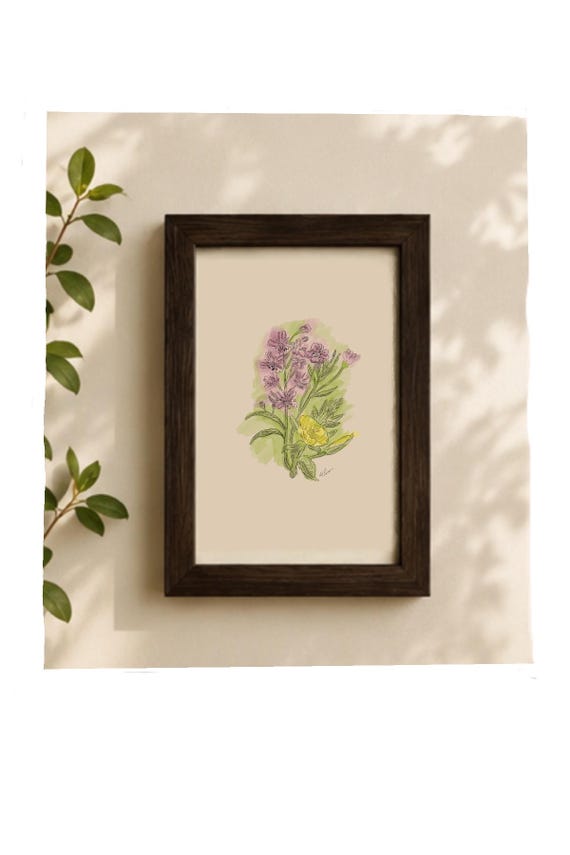Framed Wildflower Botanical Drawing – 4x6 Inch Original Art Print
