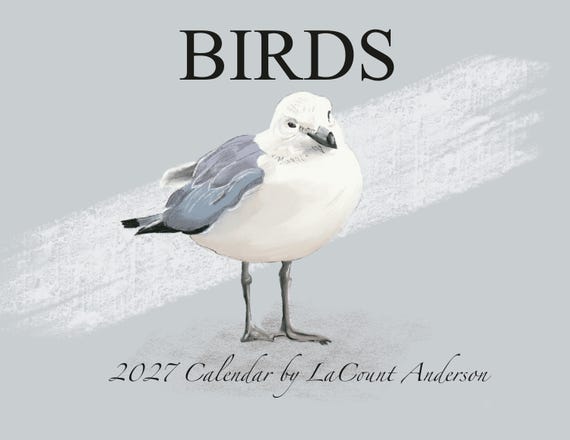 2027 Watercolor and Colored pencil Bird Wall Calendar, Nature Lover Planner (270 gsm Paper)
