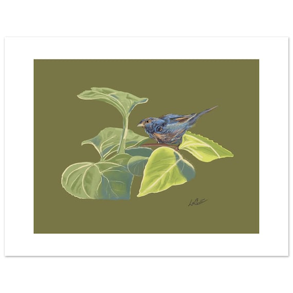Nature Inspired Print - Indigo Bunting Painting on Unframed Paper, Fits Easily Into Any Frame
