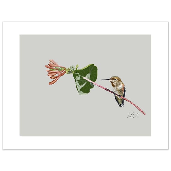 Unframed Hummingbird Art Print - White Border - 3 Sizes Available