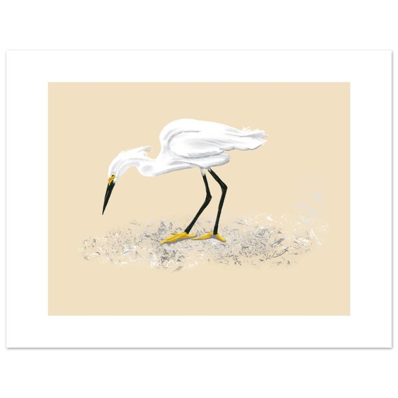 Snowy Egret Feeding Art Print - Unframed Nature Painting, 3 Size Options