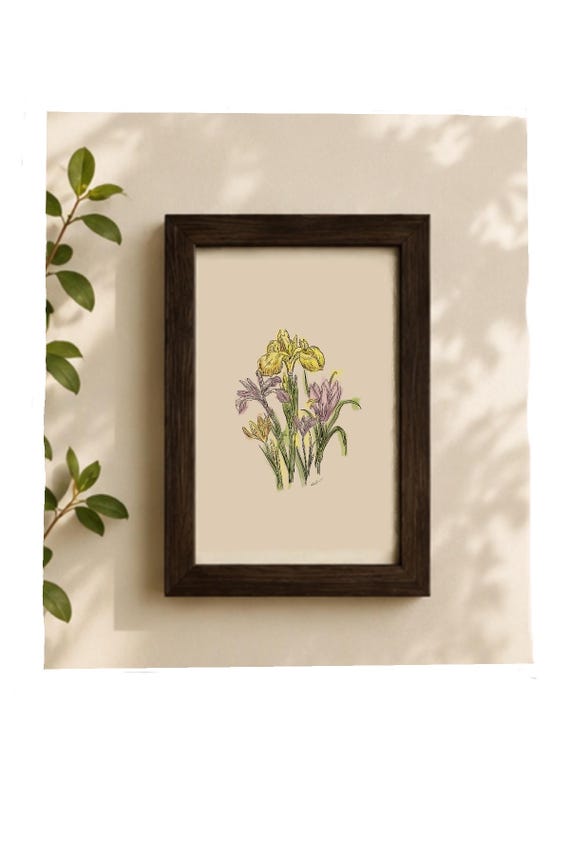 Framed Wildflower Botanical Drawing – 4x6 Inch Original Art Print