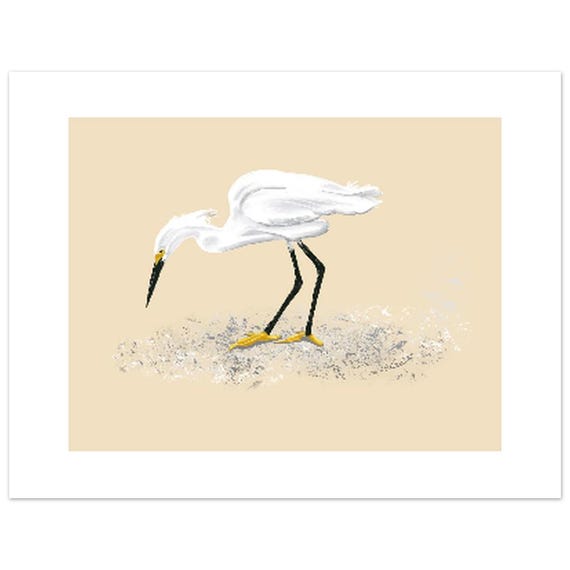 Snowy Egret Feeding Art Print - Unframed Nature Painting, 3 Size Options