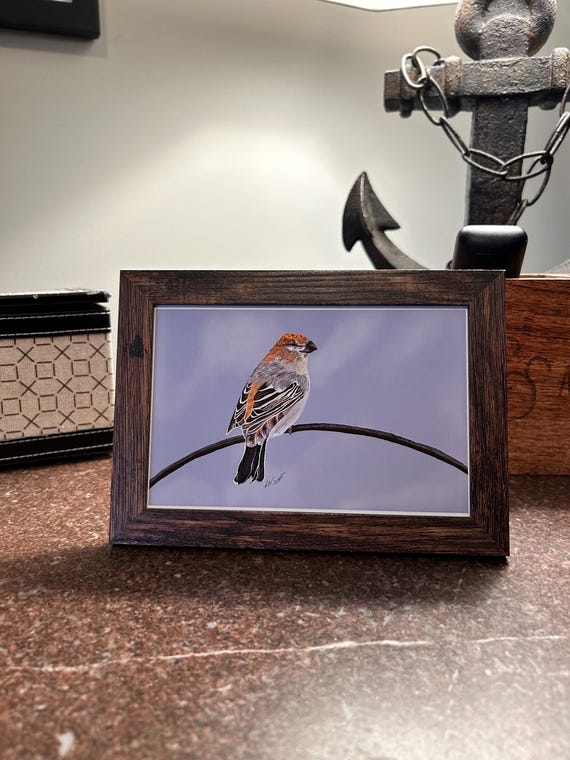 Pine Grosbeak Bird Art Print |4”x6” Framed Wildlife Nature Decor