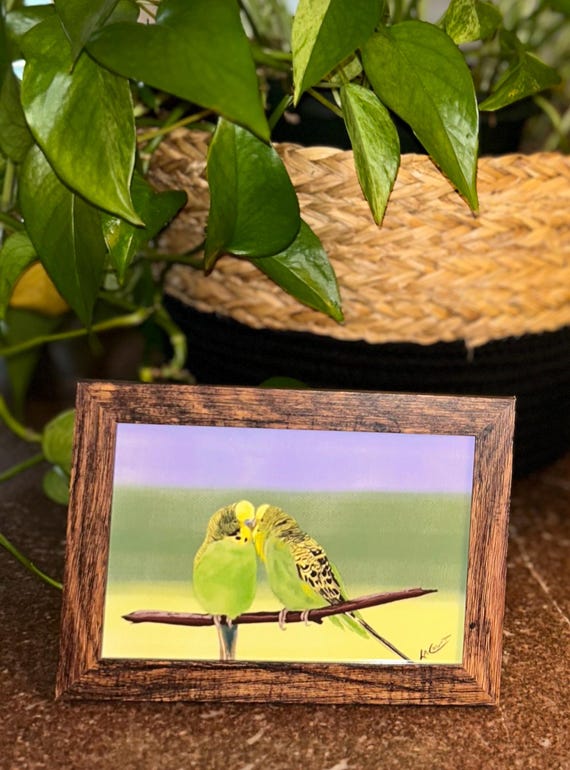 Framed Parakeet Art Print – Original Bird Illustration, Cottagecore Wall Decor
