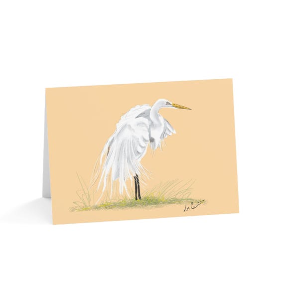 North Carolina nature:Egret Greeting Cards gift set