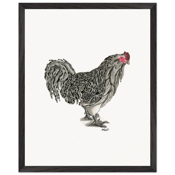 Whimsical Chicken Portrait Print - LaCount Anderson Framed Art