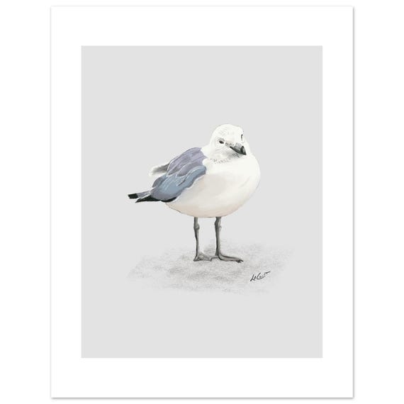 Resting Seagull Print: Coastal Bird Art with White Border