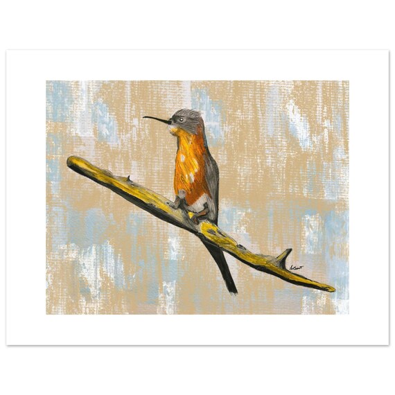 Exquisite Kingfisher Painting | Wildlife Art Print | African Bird Lover Gift