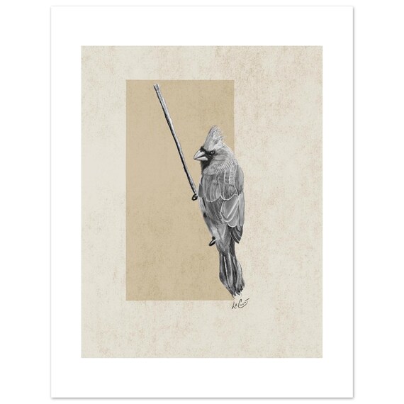 Bird Attitude Art Print, Northern Cardinal Drawing - Unframed with White Border