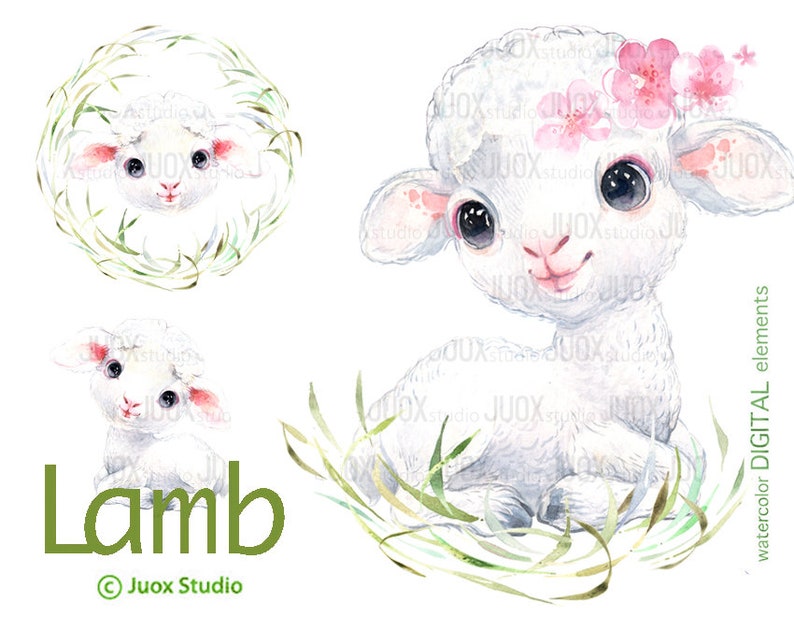 Download Lamb watercolor clipart farm animals woolly lamb for | Etsy