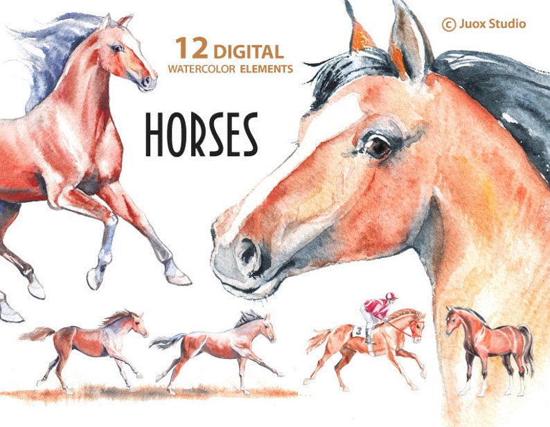 Digital Elements Derby Boho invitation Horses Watercolor Painting Clipart Greetings Diy card Stickers