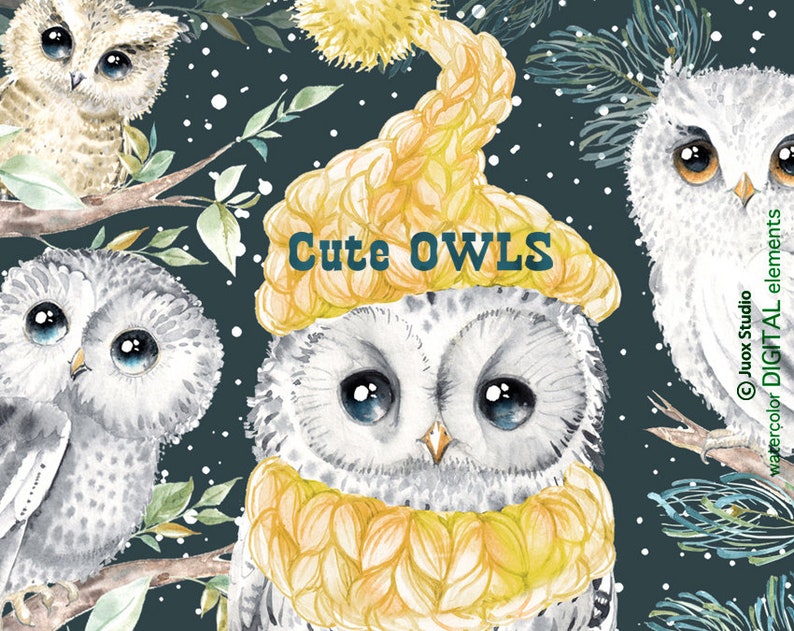 Download Cute Owls Clipart Watercolor Owl snow Watercolor Clipart ...