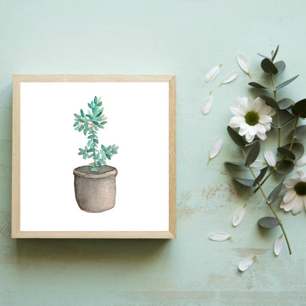 May include: A watercolor painting of a potted plant with green leaves in a gray pot. The painting is framed in a light brown frame and is set against a light blue background.