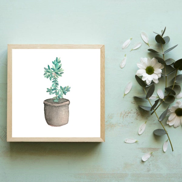 Miniature Plant Print Art, Tiny Art Prints, Dorm Wall Art, Botanical Prints, Small Art, Small Paintings, Plant Art, Dorm Decor