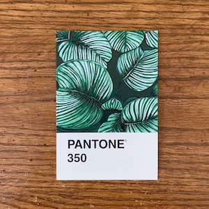 Impression botanique minimaliste, Gravures d’art Pantone, Petites estampes d’art, Peinture de feuilles, Peinture à la gouache, Cadeaux de cartes postales, Œuvres d’art originales