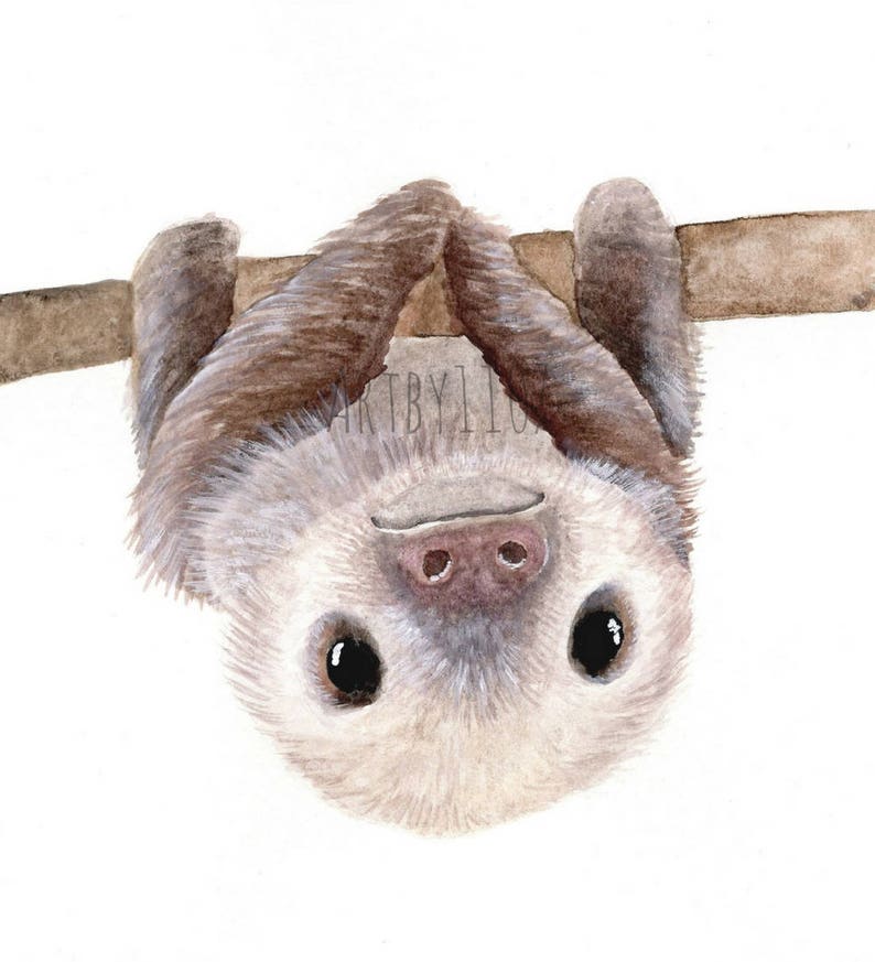 Sloth Art Print Sloth Nursery Decor Nursery Wall Art Prints - Etsy UK
