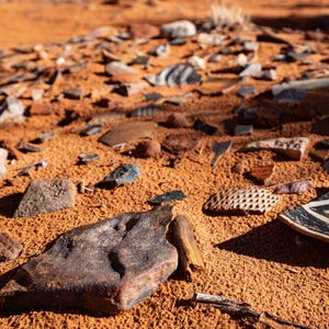 May include: A collection of scattered ceramic shards and stone fragments resting on orange desert sand. The pieces include a curved pottery shard with black and white chevron patterns, a textured piece with a grid design, and various dark rocks.