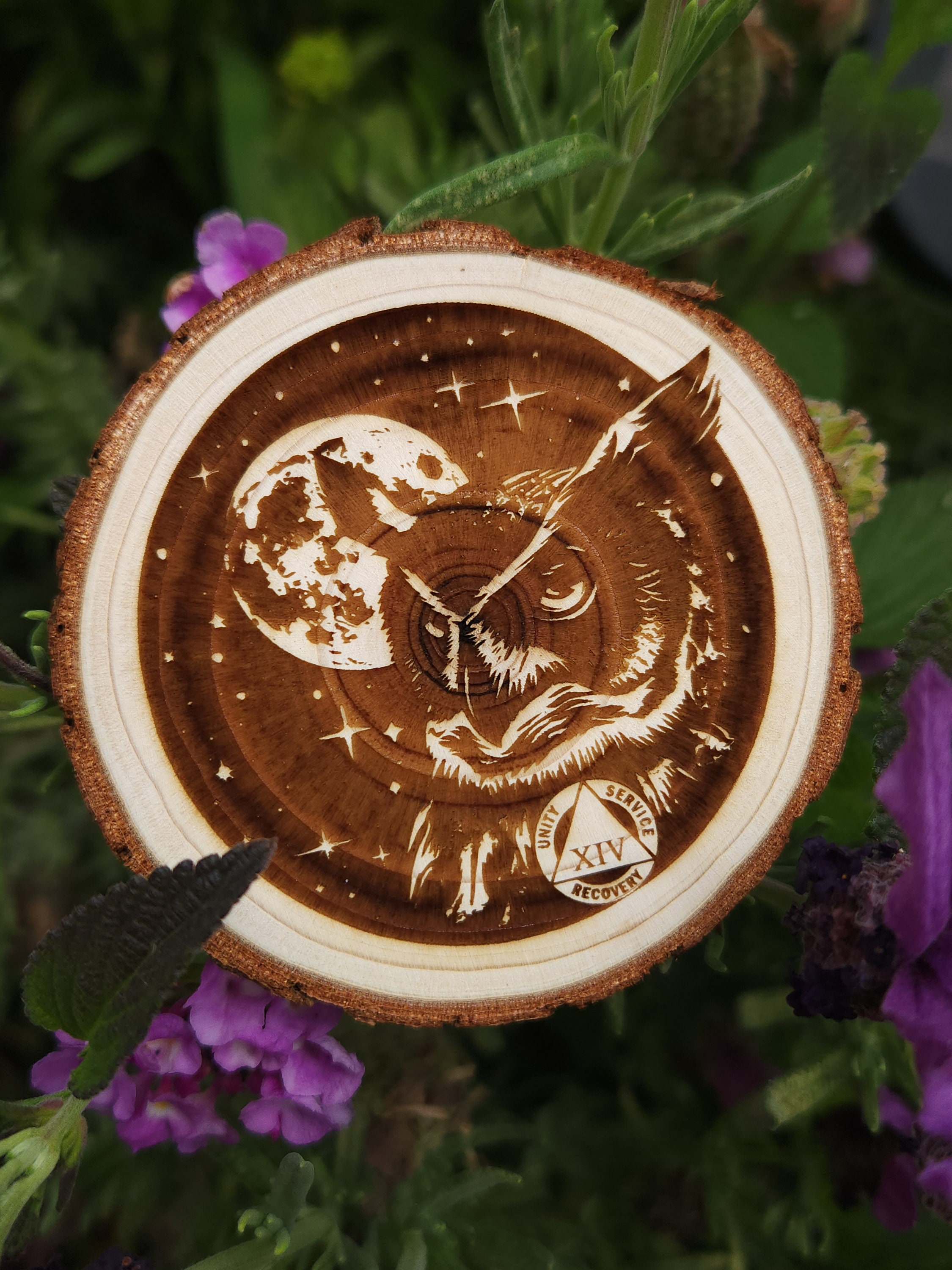 The Wise Owl Sobriety Chip *Personalized* Sober AA NA Al Anon Medallion Engraved Token Coin Tag *Cus