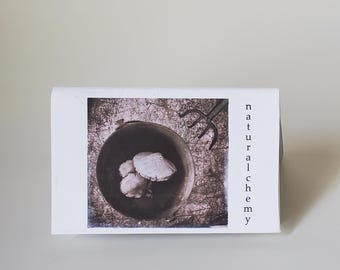 Naturalchemy Original Still Life Photography Mini Zine • Surrealist Nature Art Alternative Photo Artist Booklet