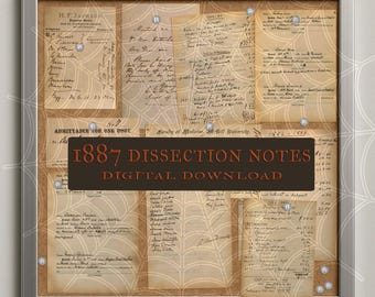 1887 Anatomy Dissection Notebook Pages: Vintage Medical Art Printable (PDF Download)