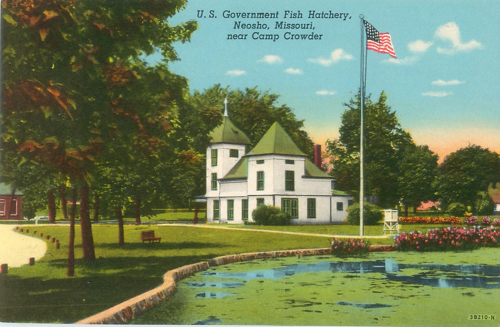 Neosho Missouri Postkarte Government Fish Hatchery Near