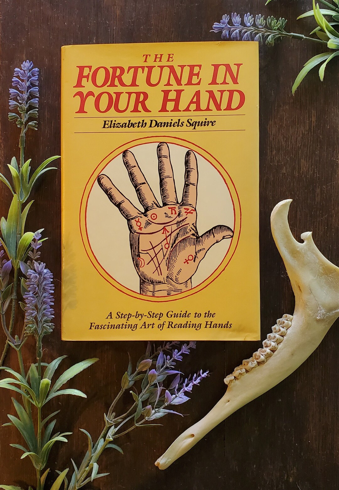 1989 Palm Reading Book, the Fortune in Your Hand by Elizabeth Daniels ...