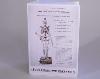 1800s Dissection Notes Mini Zine Vol 2 • Real Medical Anatomy Drawings