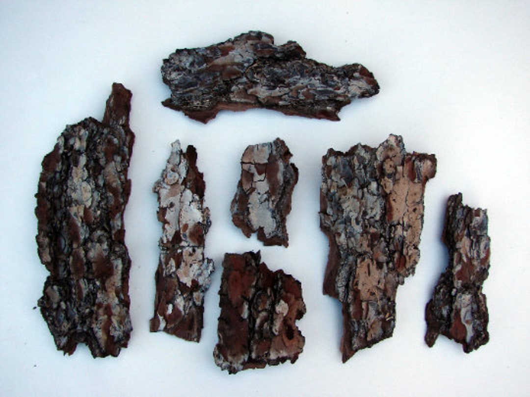 Image of Pine nuggets crafts