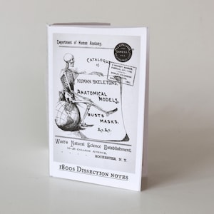 May include: A small, folded card with a black and white illustration of a skeleton sitting on a globe. The card features text including "Department of Human Anatomy," "Catalogue of Human Skeletons," and "1800s Dissection Notes."