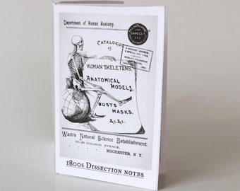 1800s Dissection Notes Mini Zine Vol 1 • Antique Medical School Ephemera and Anatomy Drawings • Historical Anatomy Booklet
