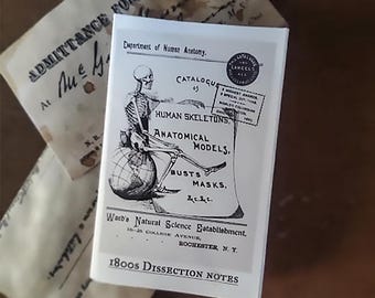 Zine - 1800s Dissection Notes Taken From  Real Anatomy Drawings & Medical School Ephemera Mini Zine