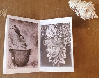 Zine - Naturalchemy  Unusual Original Still Life Photography Mini Zine