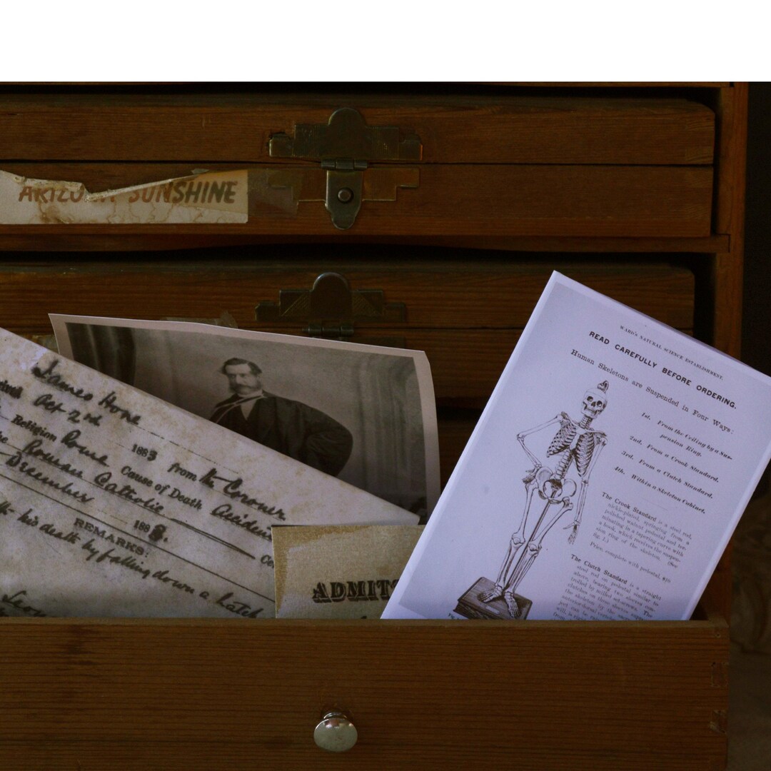 Zine - 1800s Dissection Notes No. 2 Taken From Real Anatomy Drawings ...