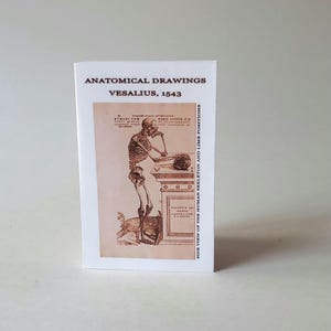 Vesalius Anatomy Mini Zine | 1543 Vintage Medical Illustrations | Human Dissection Plates Booklet
