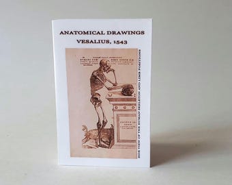 Vesalius 1543 Human Anatomy Medical Plates Mini Zine • Renaissance Scientific Illustration • Historic Figure Drawing Artist Reference