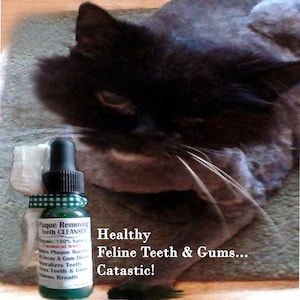Puede incluir: Un gato negro con ojos verdes mira una peque&ntilde;a botella verde con una etiqueta a cuadros blancos y verdes. La etiqueta dice "Plaque Removing Teeth CLEANSER" y "Organic/100% Natural (Chemical free)". La botella est&aacute; sobre una superficie blanca. El texto "Healthy Feline Teeth & Gums... Catastic!" est&aacute; escrito en negro sobre un fondo blanco.