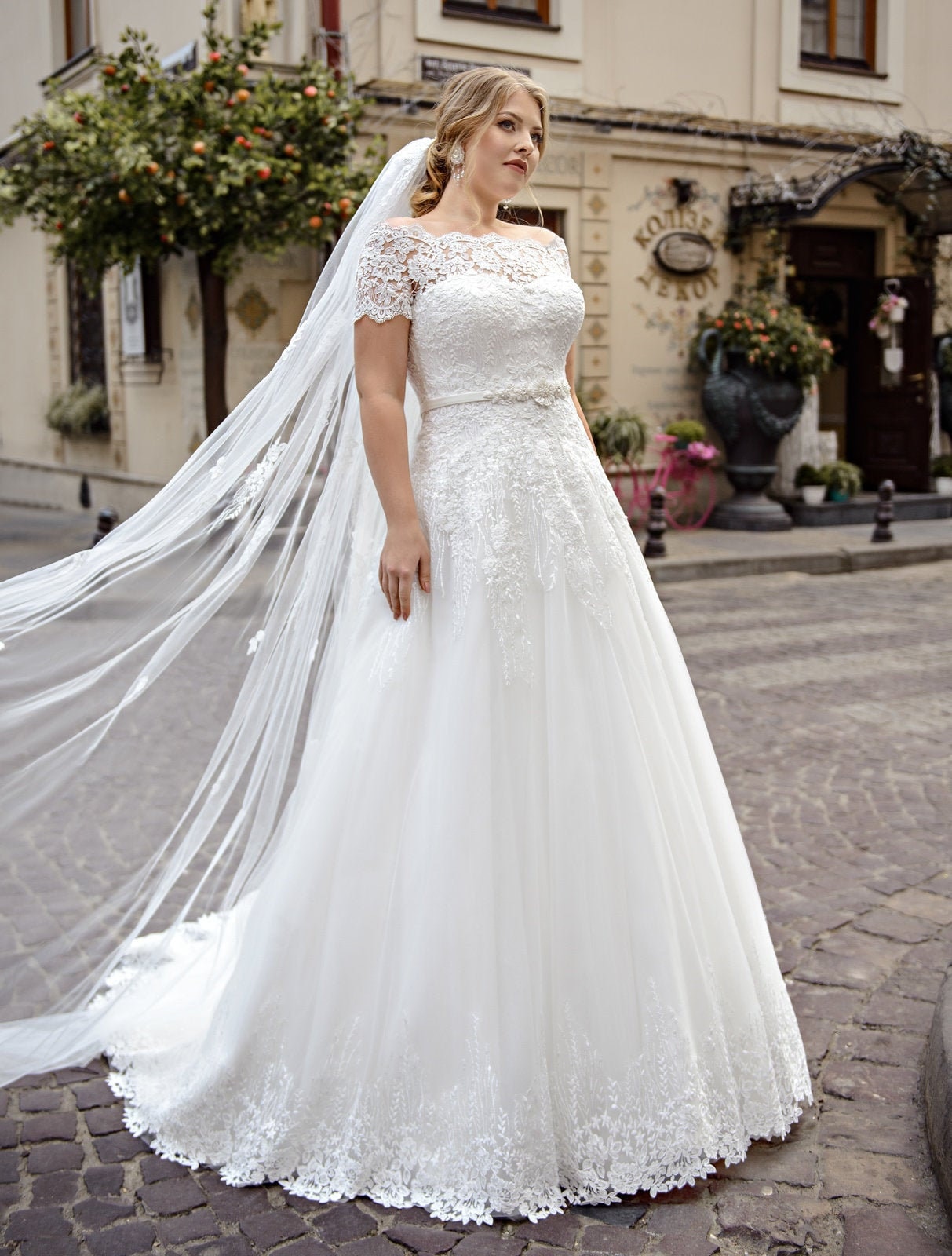 dresses plus size wedding