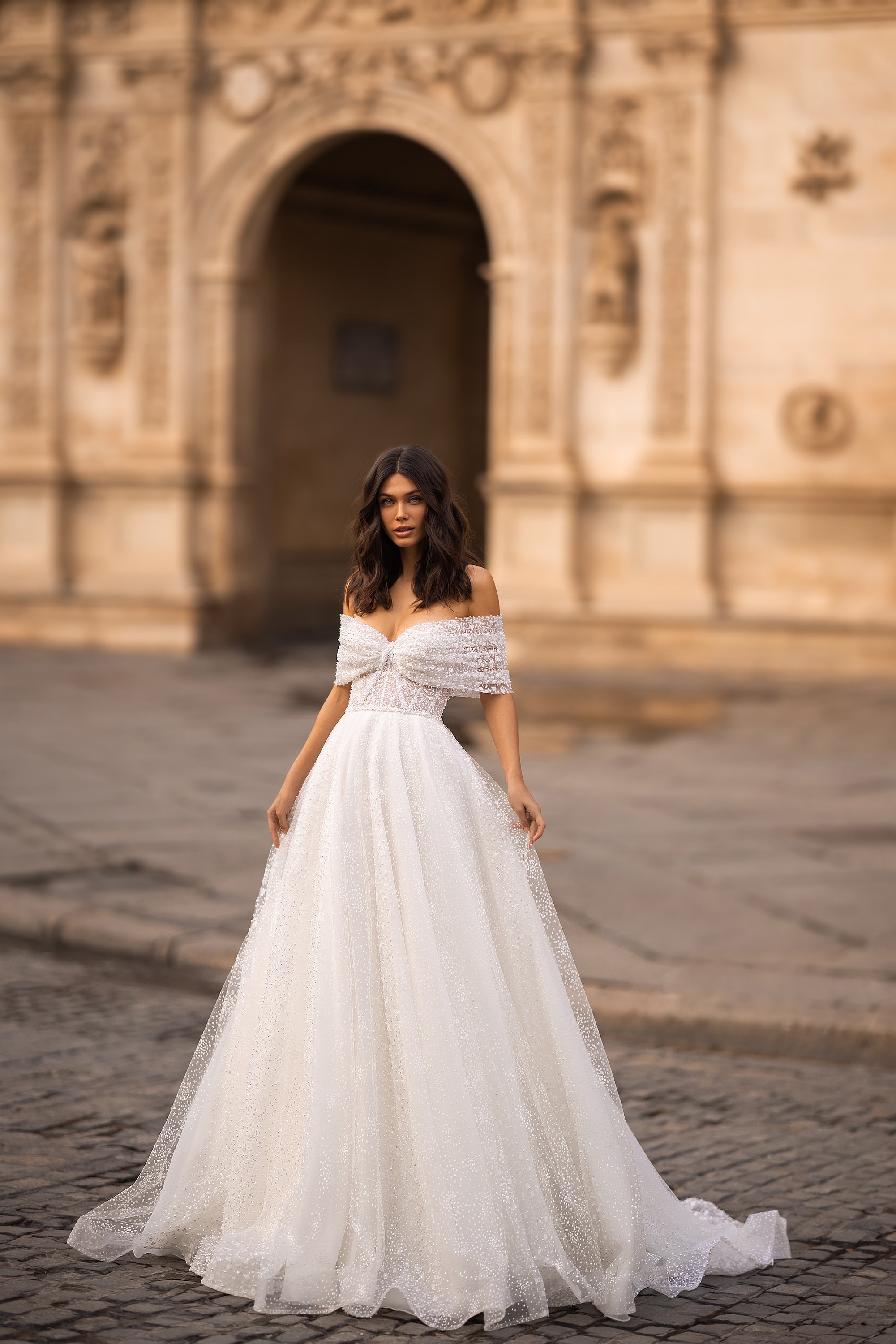 Elegant Two-Piece A-Line Tulle Wedding Dress with Off-Shoulder Long Sleeved  Top