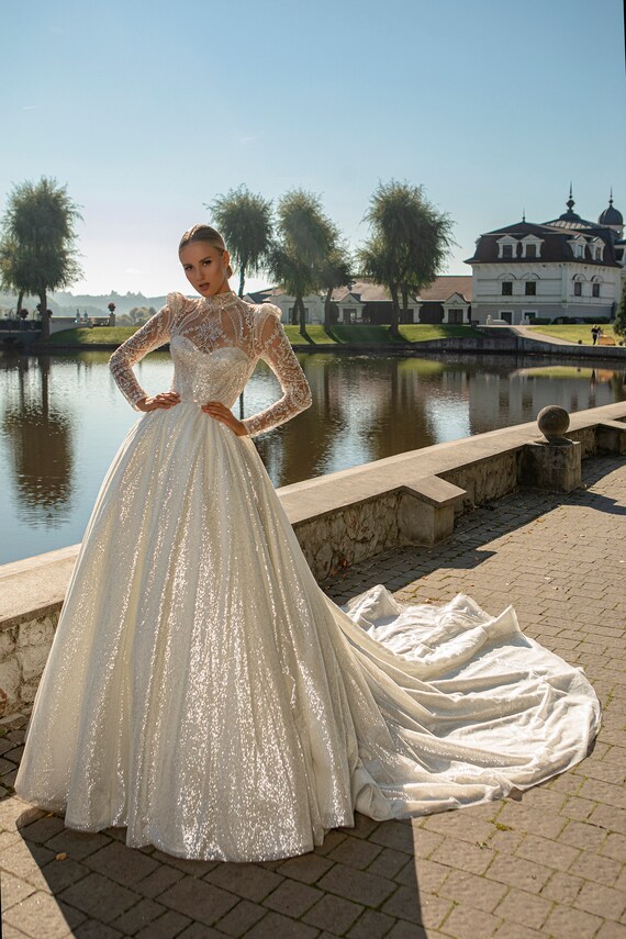 Glitter sparkly prom ballgown evening gown.