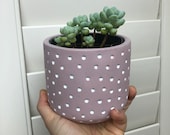 Pots for Plants 4 quot Baby Pink Polka Dot Pot with Drainage Gardening Houseplants Succulents Flower Pot Planter Pottery Plant Container