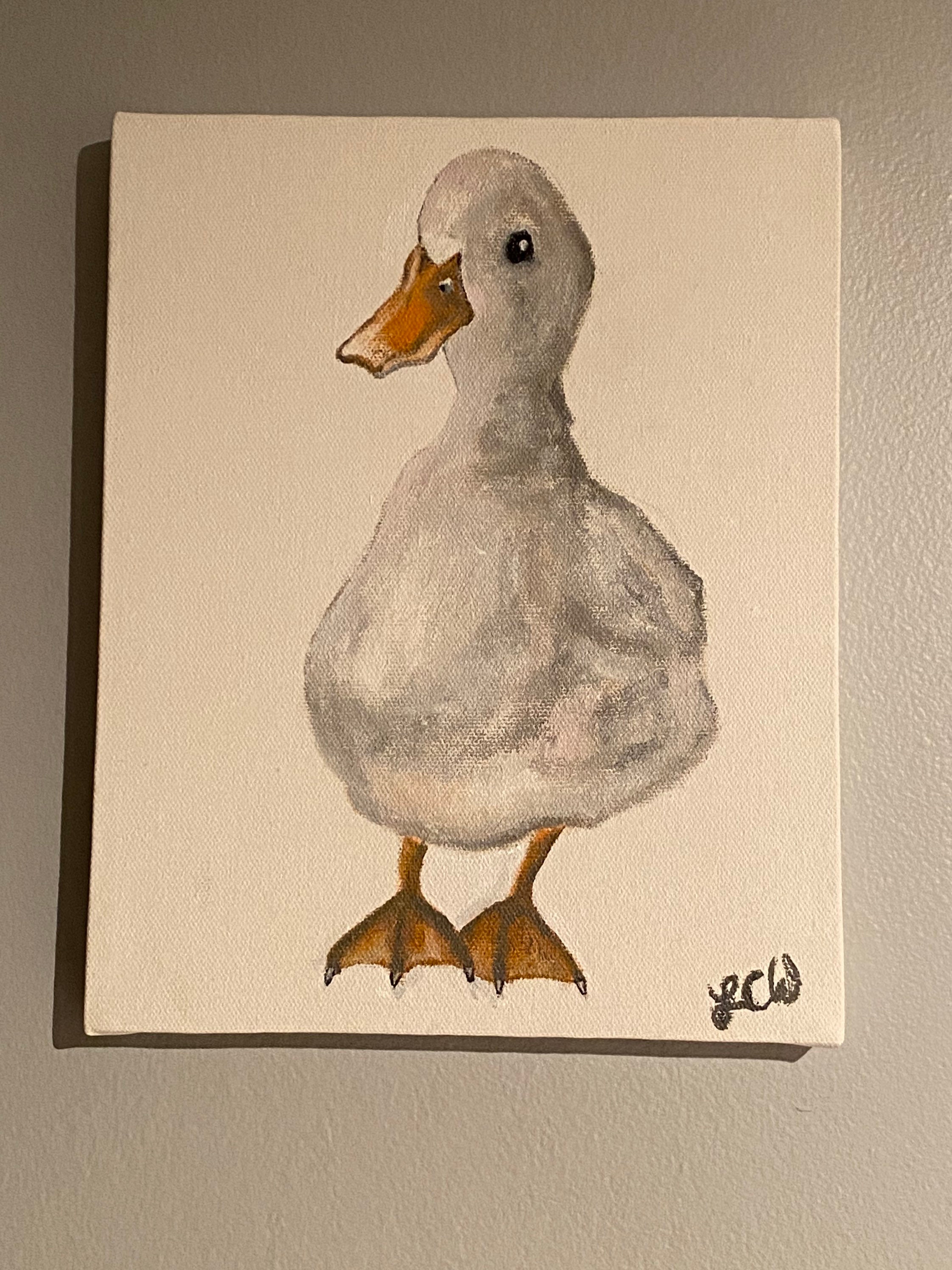 colored duck canvas