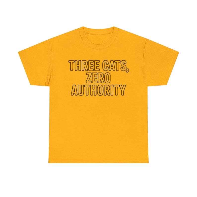 Three Cats Zero Authority Shirt | Funny Cat Lover Gift Tee image 1