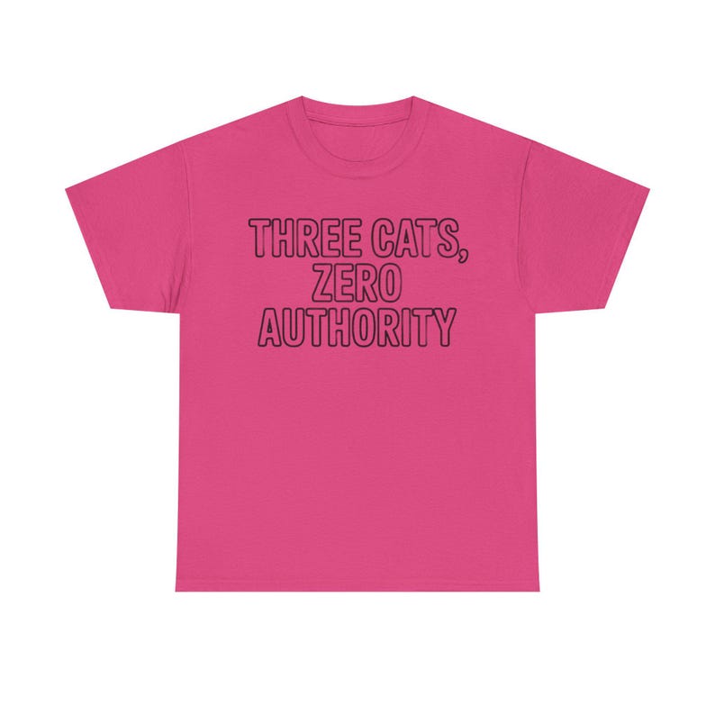 Three Cats Zero Authority Shirt | Funny Cat Lover Gift Tee image 5