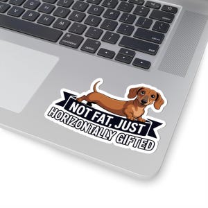 Dachshund "Not Fat Just Horizontally Gifted" Sticker | Wiener Dog Humor image 17