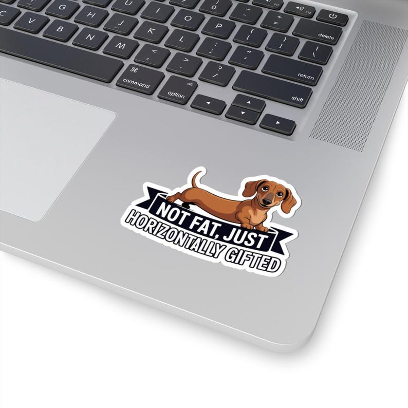 Dachshund "Not Fat Just Horizontally Gifted" Sticker | Wiener Dog Humor image 11