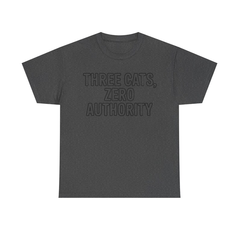 Three Cats Zero Authority Shirt | Funny Cat Lover Gift Tee image 2