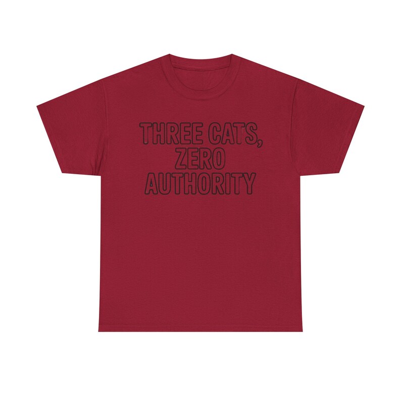 Three Cats Zero Authority Shirt | Funny Cat Lover Gift Tee image 6